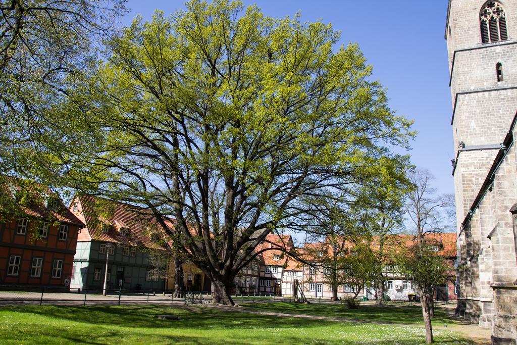 Apartmenthaus Mathilde Quedlinburg Buitenkant foto